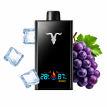 ignite V300 Grape