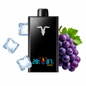 ignite V300 Grape